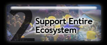 Support Entire Ecosystem